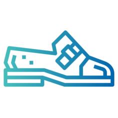 Shoe