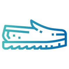 Shoe