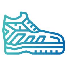 Shoe
