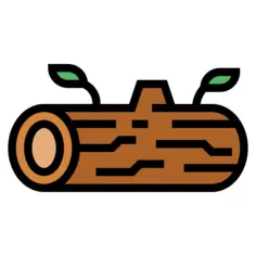 记录