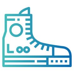 Shoe