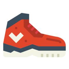 Shoe
