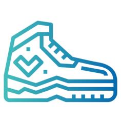 Shoe