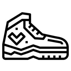Shoe