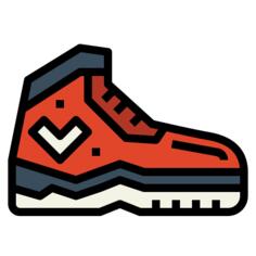 Shoe