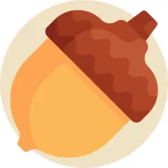 Acorn
