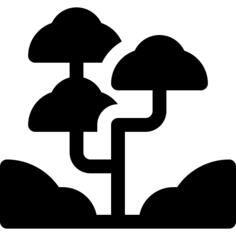 雨林
