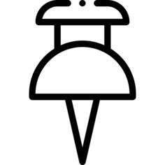 Pin