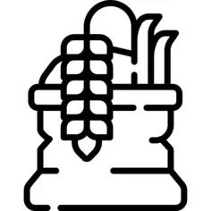 白饭