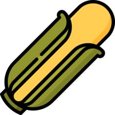 玉米