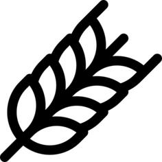 小麦