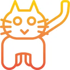 猫