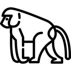 狒狒
