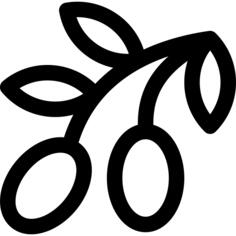 橄榄