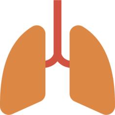 Lungs