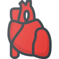 心