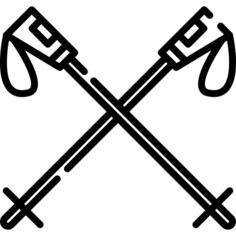 Ski poles