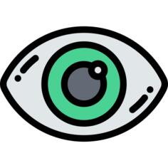 Eye