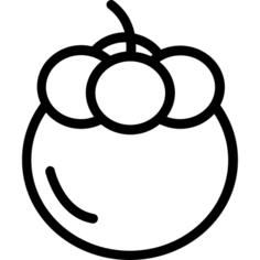 Mangosteen