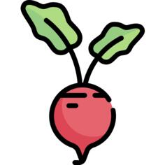 甜菜