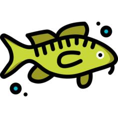 Cod
