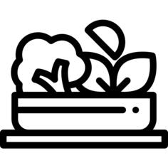 Salad