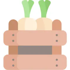 Vegetable