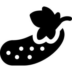 Cucumber