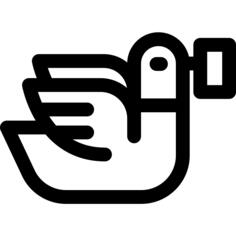Pigeon