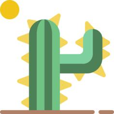 Cactus