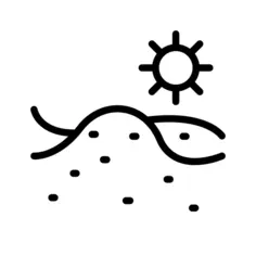 沙漠