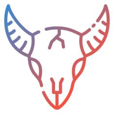 公牛头骨