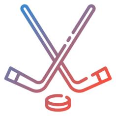 Hockey