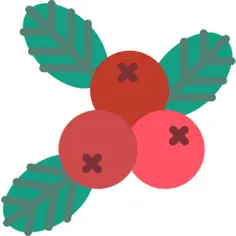 浆果