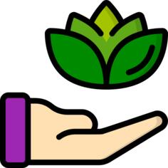 Meditation