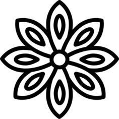 Anise