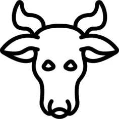 Cattle