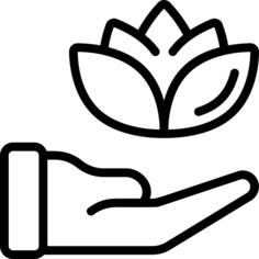 Meditation