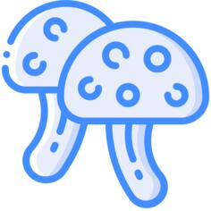 蘑菇