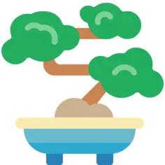 Bonsai