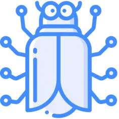 Beetle