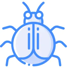 Beetle