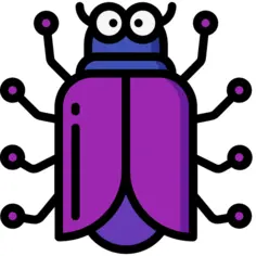 Beetle
