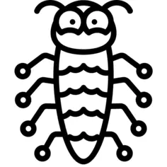 Insect