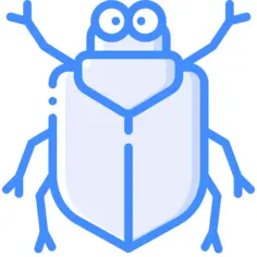 甲虫