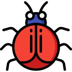 Beetle