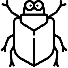 甲虫