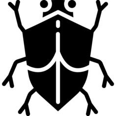Bug