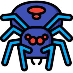 Spider