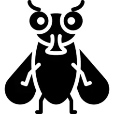 Fly